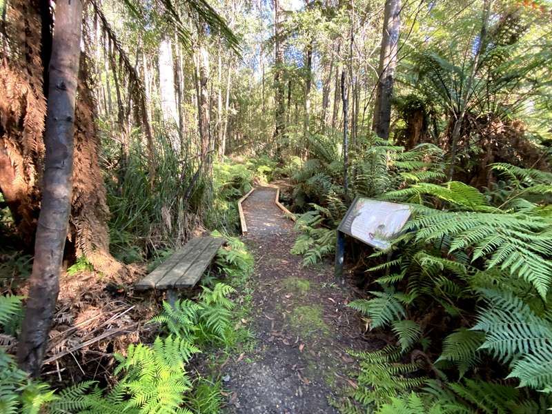 Marysville - Beauty Spot Natural Features Reserve Walk