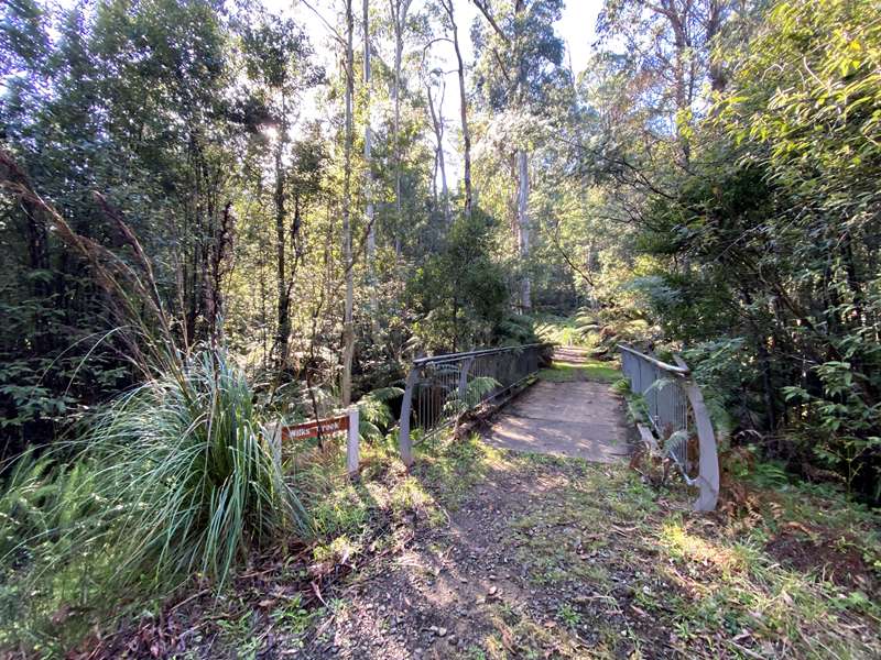 Marysville - Gilberts Gully Nature Trail Walk