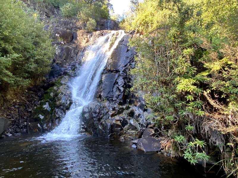 Marysville - Steavenson Falls