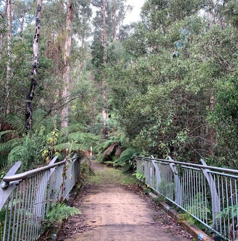 Marysville - Gilberts Gully Nature Trail Walk