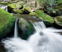 Marysville Trails