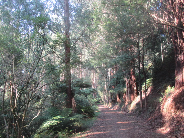 Mathias Track (Olinda)