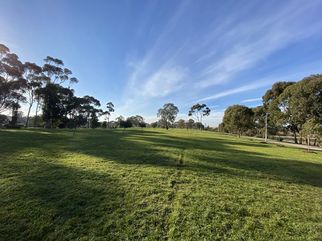 Matthews Hill Reserve Dog Off Leash Area (Sunshine)