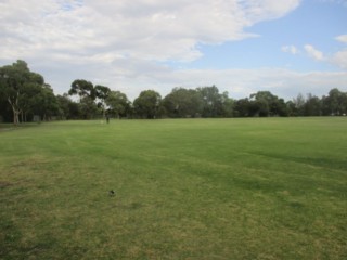 Mayer Park Dog Off Leash Area (Thornbury)