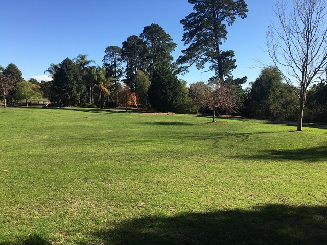 McAlpin Reserve Dog Off Leash Area (Ringwood North)