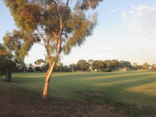 McDonnell Park Dog Off Leash Area (Northcote)