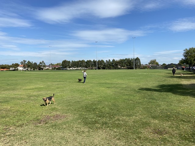 McKinnon Reserve Dog Off Leash Area (McKinnon)