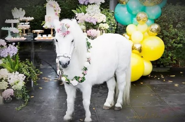 Melbourne Unicorn and Pony Hire