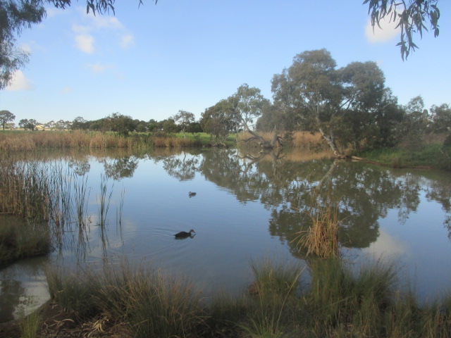 Melton Botanic Garden (Melton)