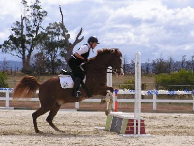 Melton Plains Riding Club (Toolern Vale)