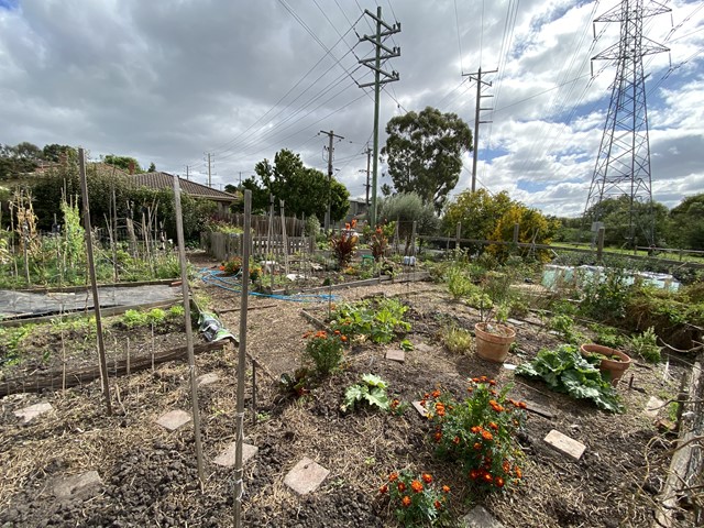 Merri Corner Community Garden (Brunswick East)