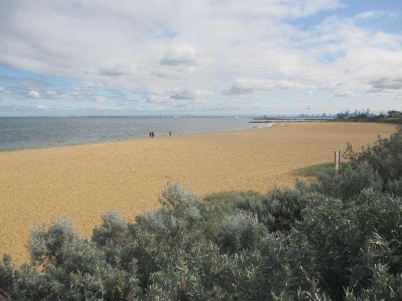 Middle Brighton Beach Dog Off Leash Area (Brighton)