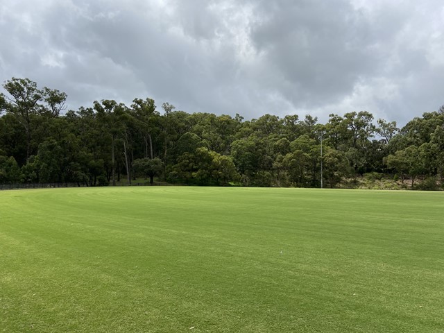 Miller Park Dog Off Leash Area (Boronia)