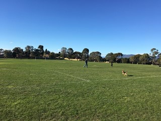 Milpera Reserve Dog Off Leash Area (Wantirna)