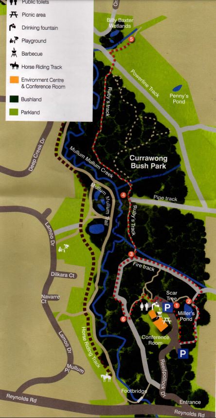 Mind Your Mannas Forest Circuit Walk (Doncaster East) Map