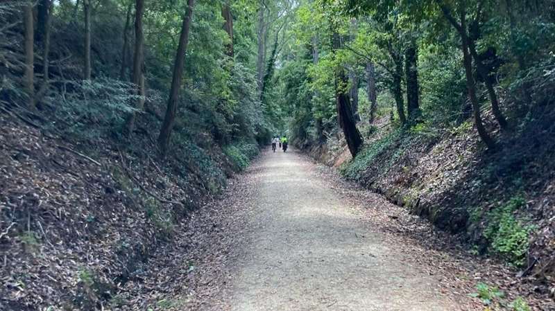 Mirboo North - Boolarra Grand Ridge Rail Trail