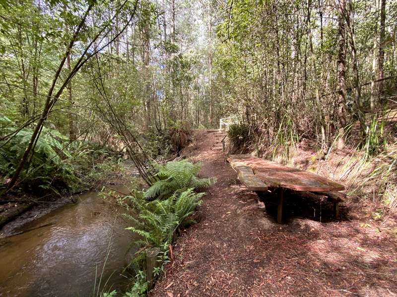 Mirboo North - Lyrebird Forest Walk