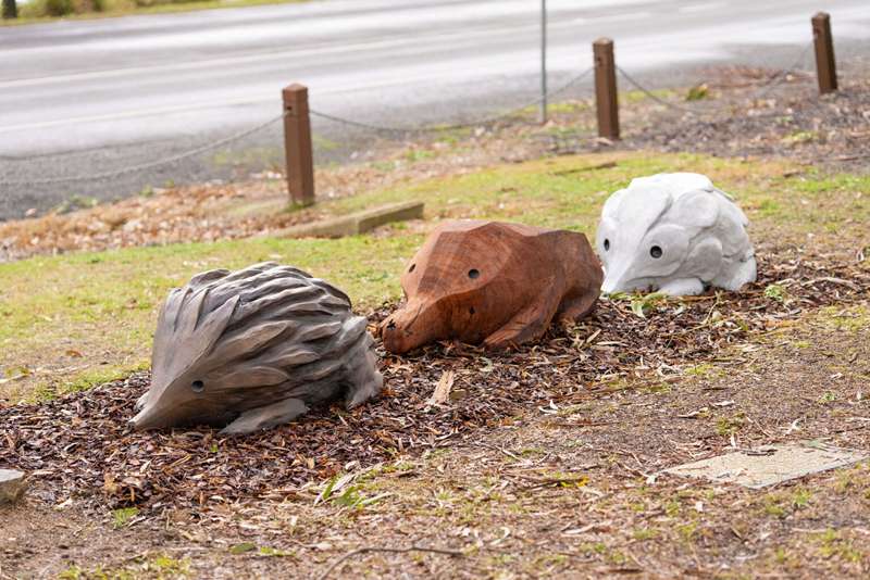 Mitchell Shire Street and Public Art
