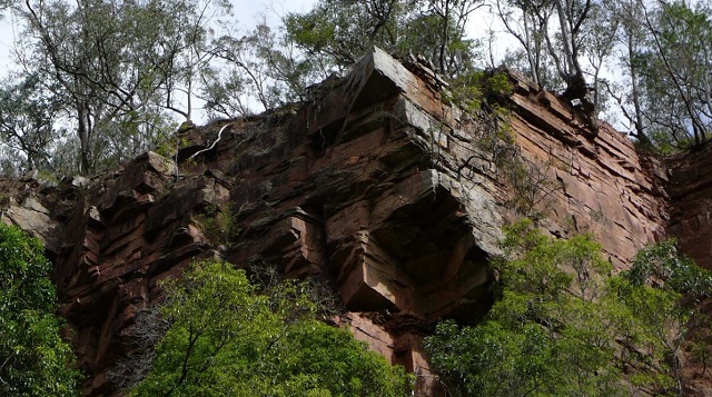 Mitchell River National Park