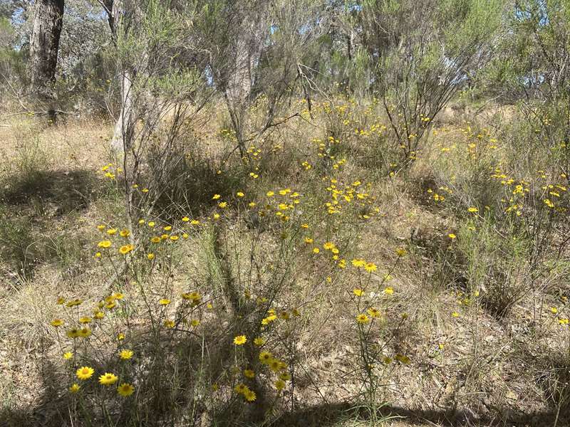 Mitchell Shire Nature Reserves