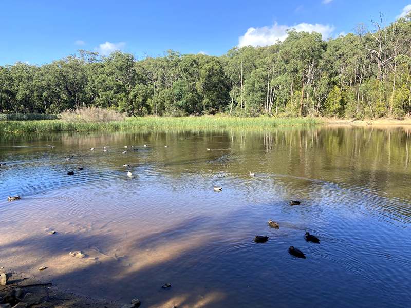 Moe - Edward Hunter Heritage Bush Reserve