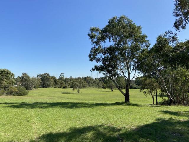 Moomba Park Dog Off Leash Area (Fawkner)