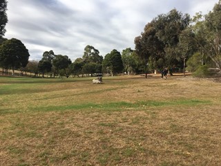 Morang Reserve Dog Off Leash Area (Bulleen)