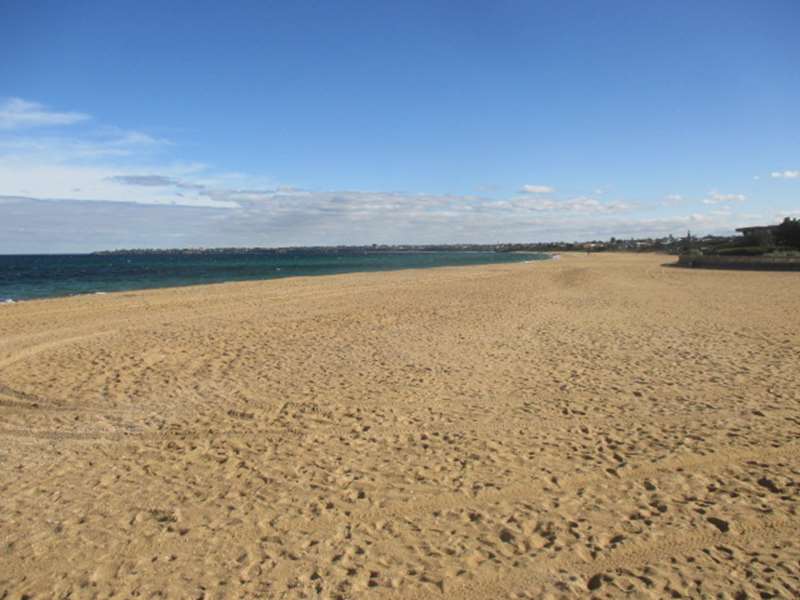 Mordialloc Beach Dog Off Leash Area (Mordialloc)