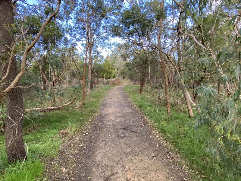 Morning Mist Nature Reserve (Cranbourne South)