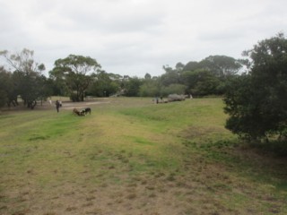 Mornington Civic Reserve Fenced Dog Park (Mornington)