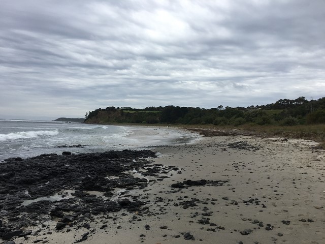 Mornington Park Beach (Flinders)