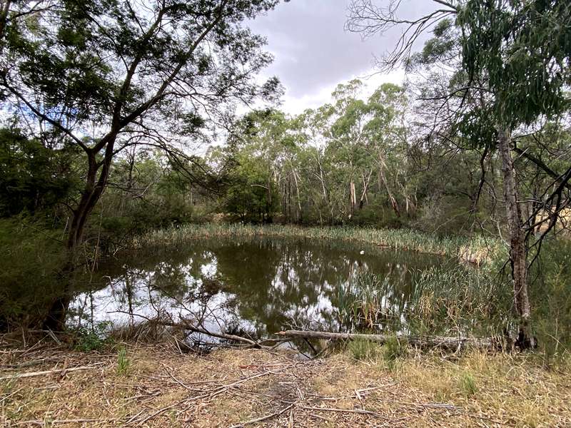Morwell - Crinigan Bushland Reserve