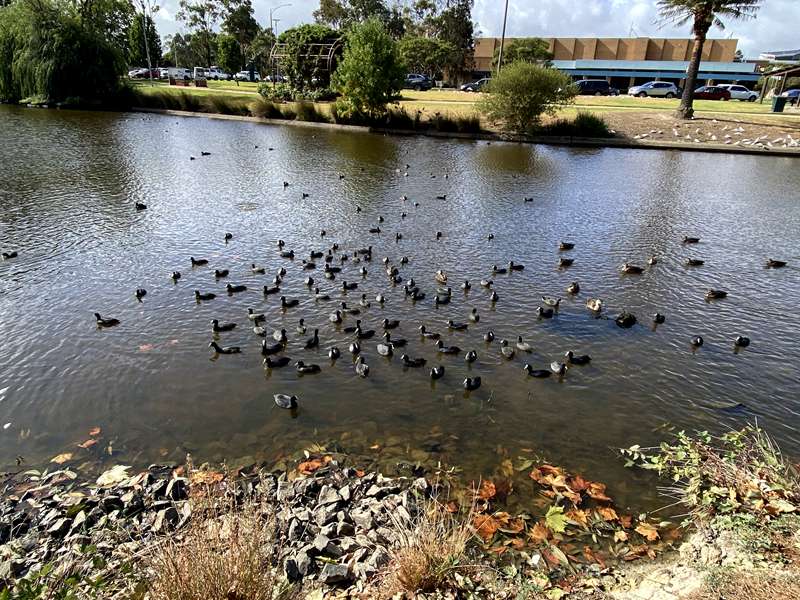 Morwell - Gippsland Immigration Park