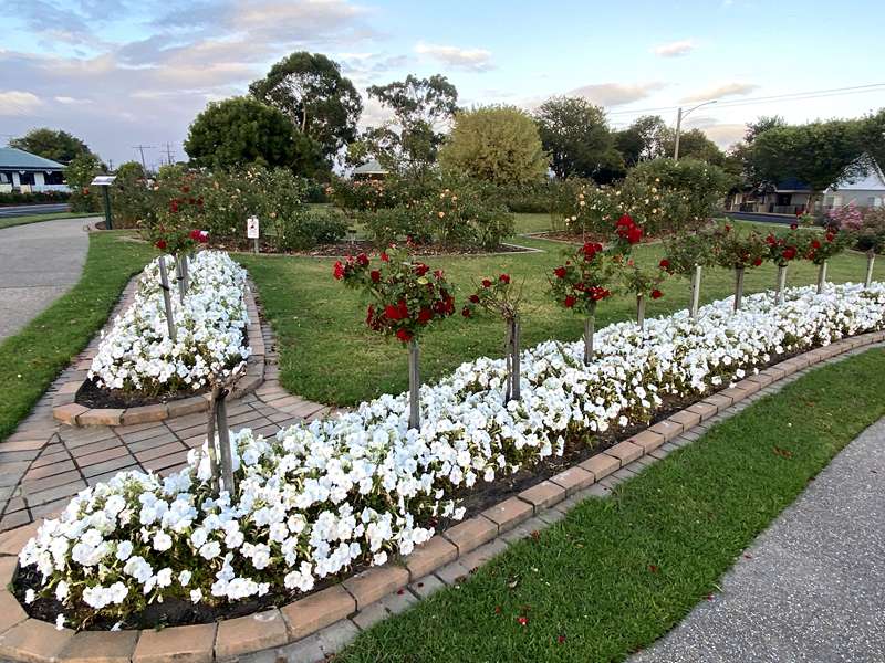 Morwell Centenary Rose Garden