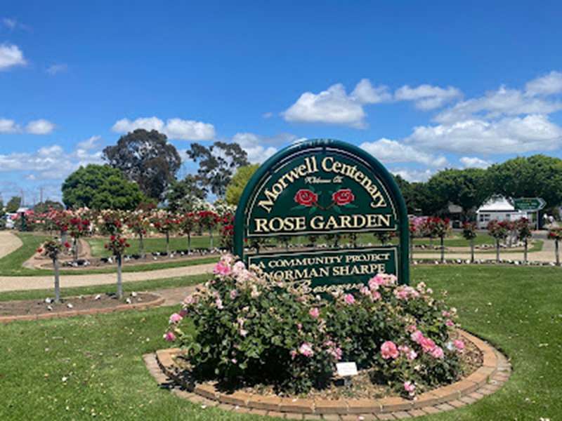 Morwell Centenary Rose Garden