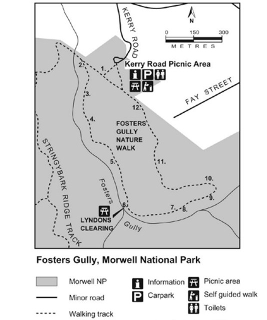 Morwell National Park