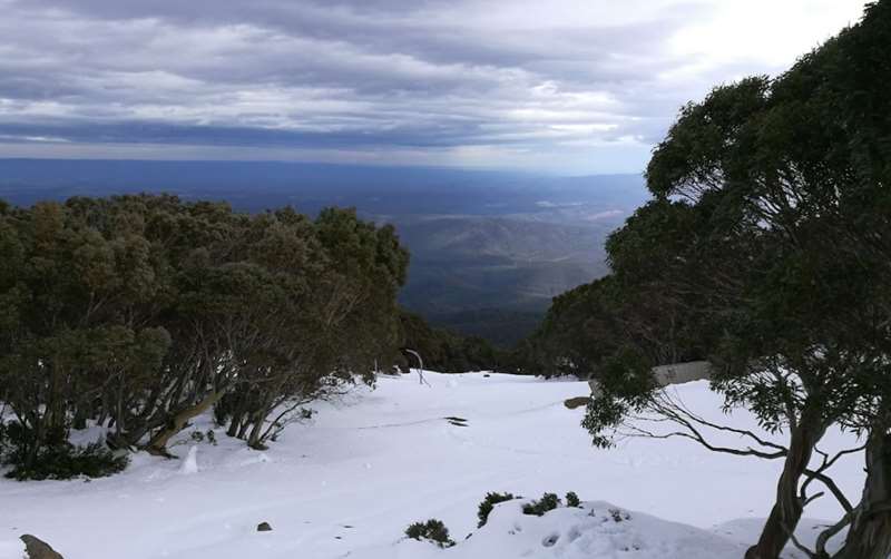 Baw Baw National Park