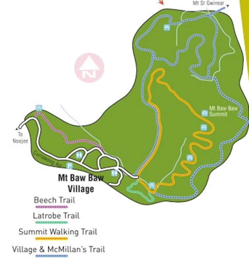 Mount Baw Baw Summit Walk Map