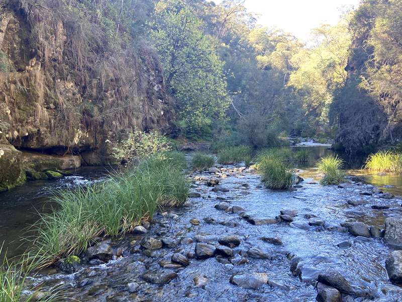 Mount Beauty - Gorge Walk