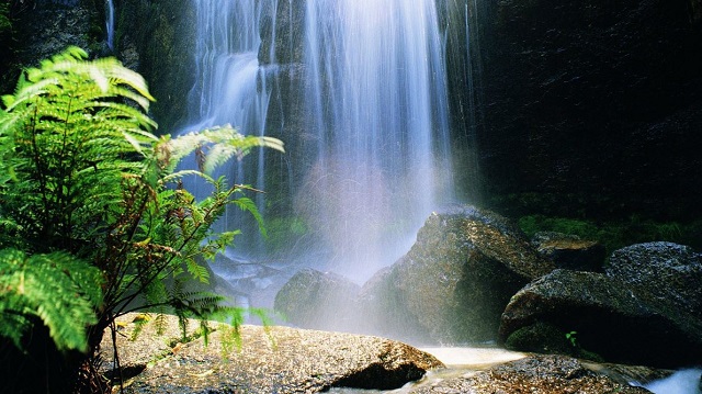 Mount Buangor State Park