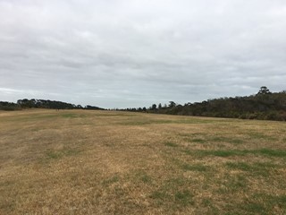 Mount Eliza Regional Park Dog Off Leash Area (Mount Eliza)