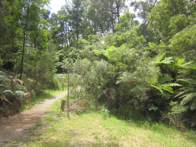 Mount Evelyn Aqueduct Walk (Mount Evelyn)