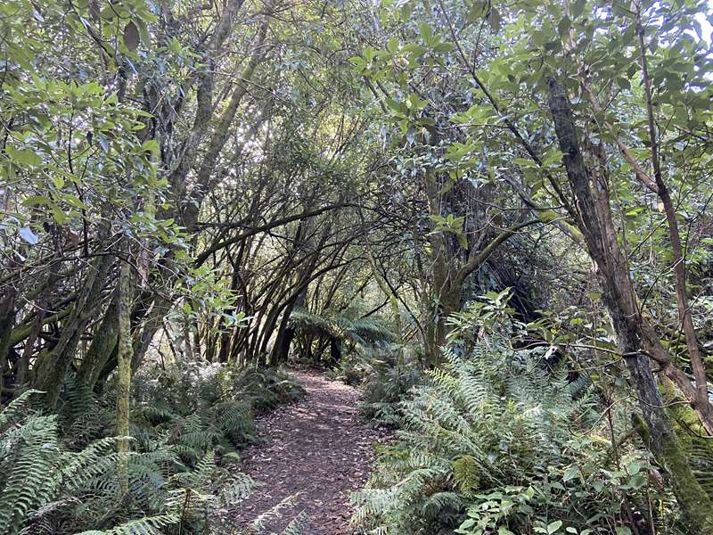 Mount Macedon - Sanatorium Lake Walk