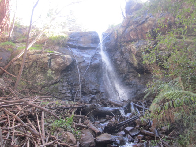 Stanley Park Falls