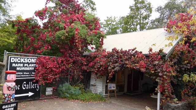 Mount Macedon - The Gallery