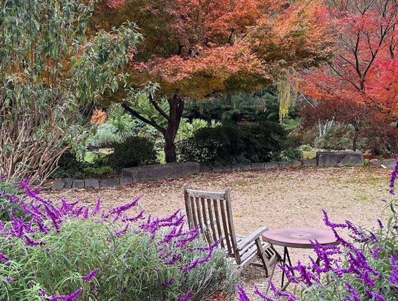 Mount Macedon - Viewfield Garden