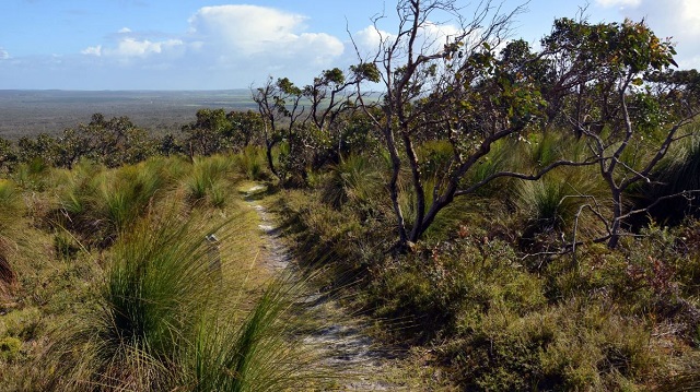 Mount Richmond National Park