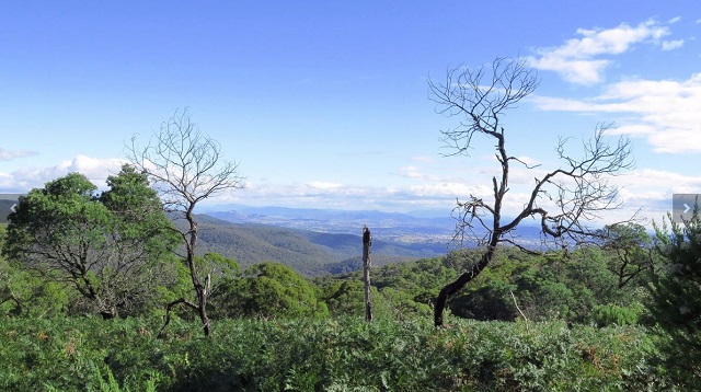 Bridge Creek - Mount Samaria State Park