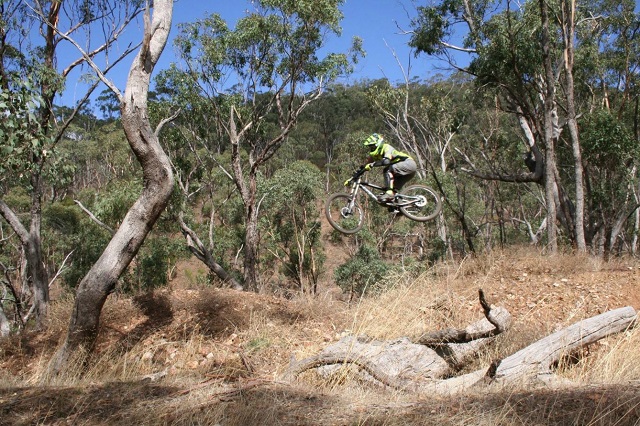 Mount Tarrengower Mountain Bike Trails