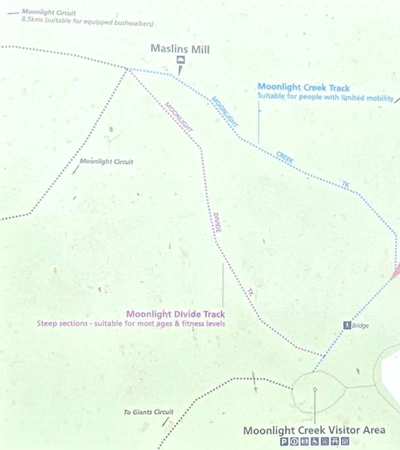 Allambee - Mount Worth State Park